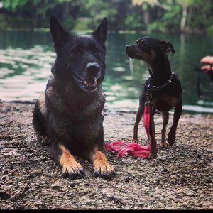 Meet your Posher, Angelina